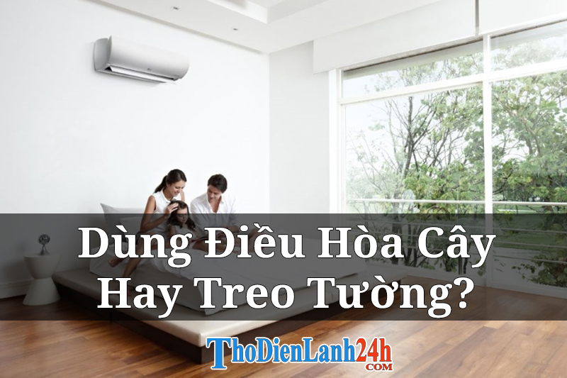 Nen Dung Dieu Hoa Cay Hay Treo Tuong